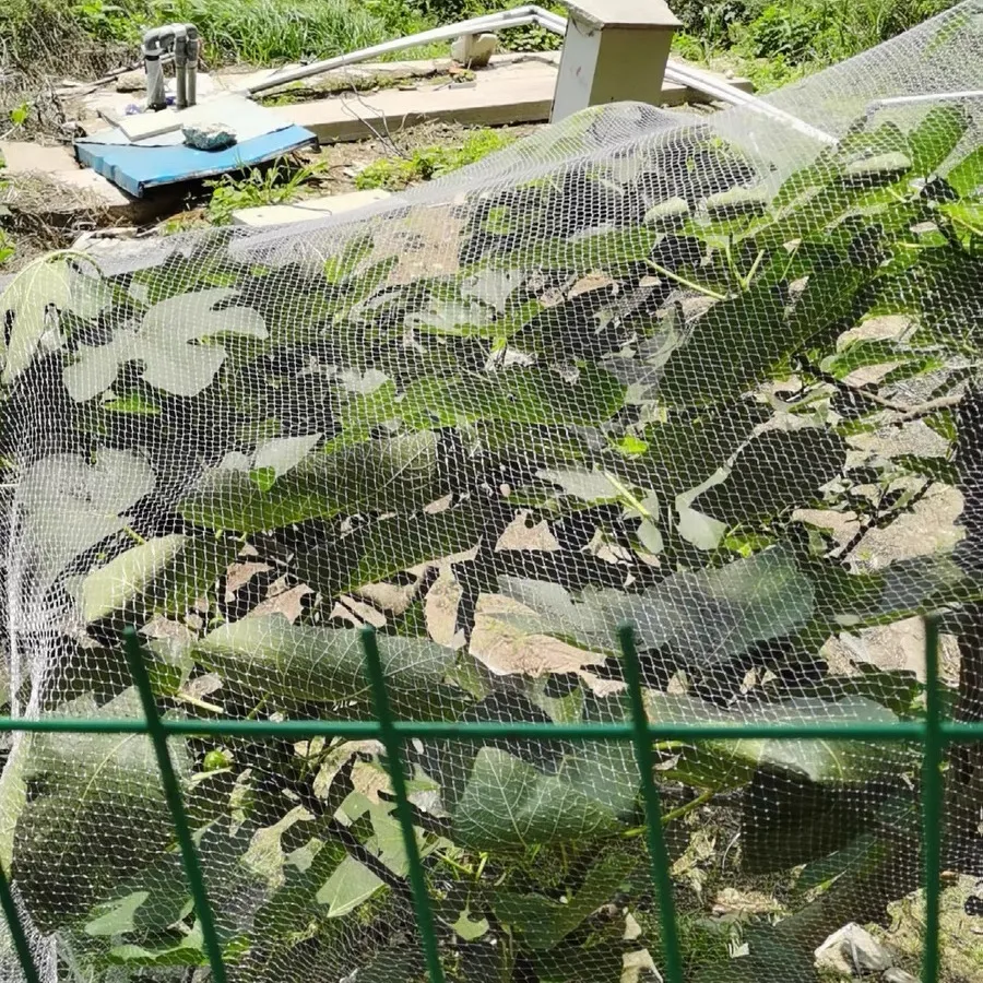 insect proof net size
