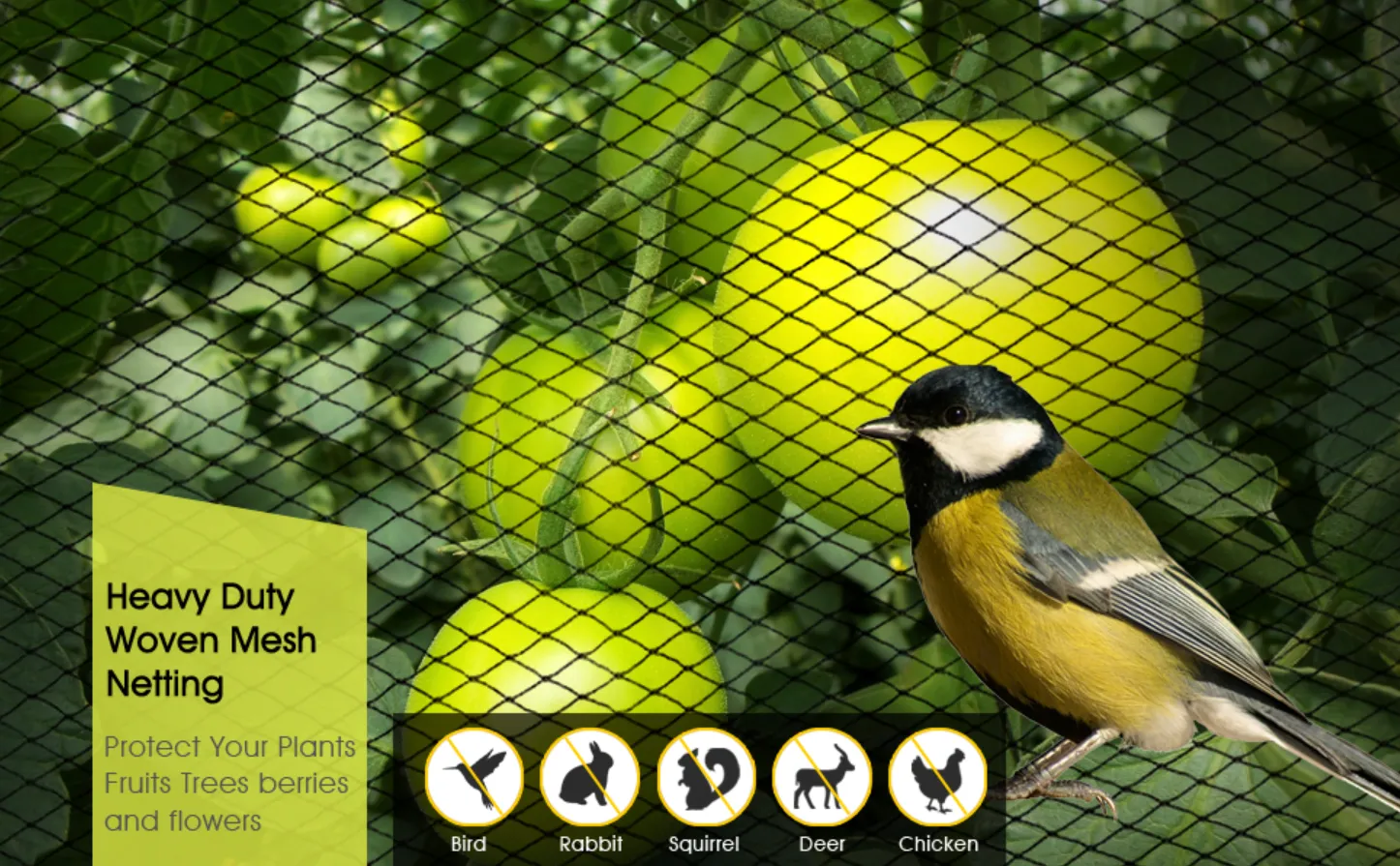 insect proof mesh