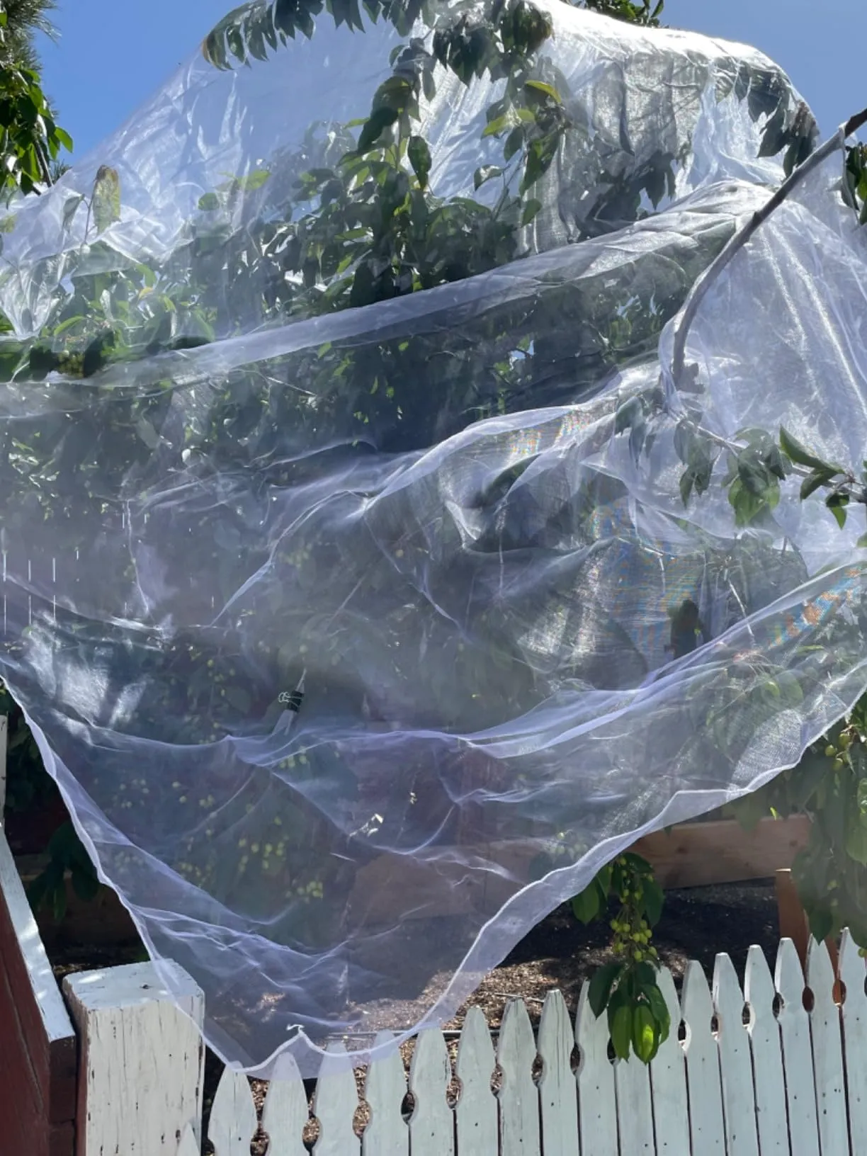 chicken mesh plastic