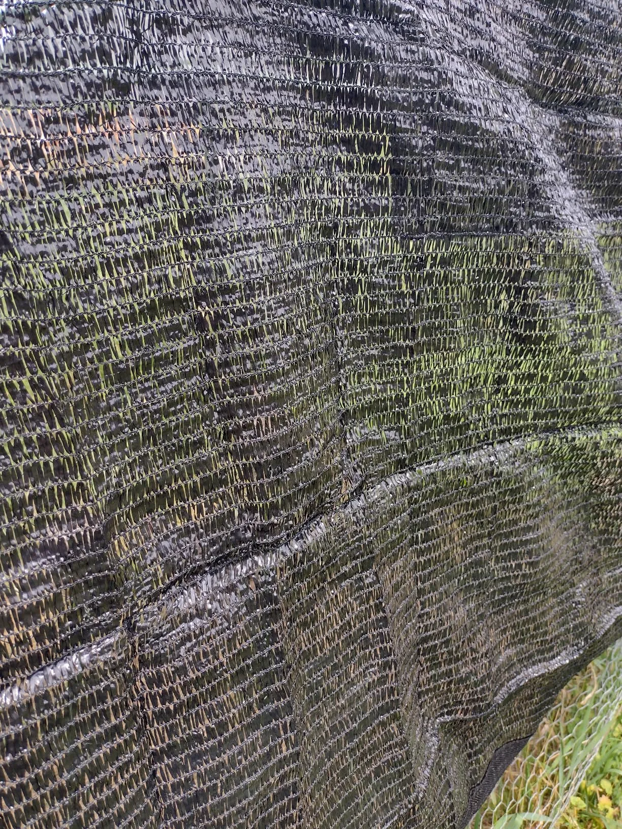 nylon woven mesh