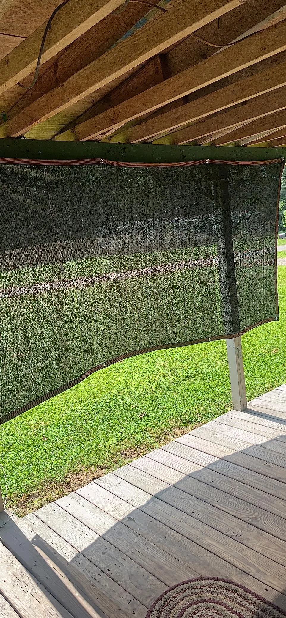 big bug netting
