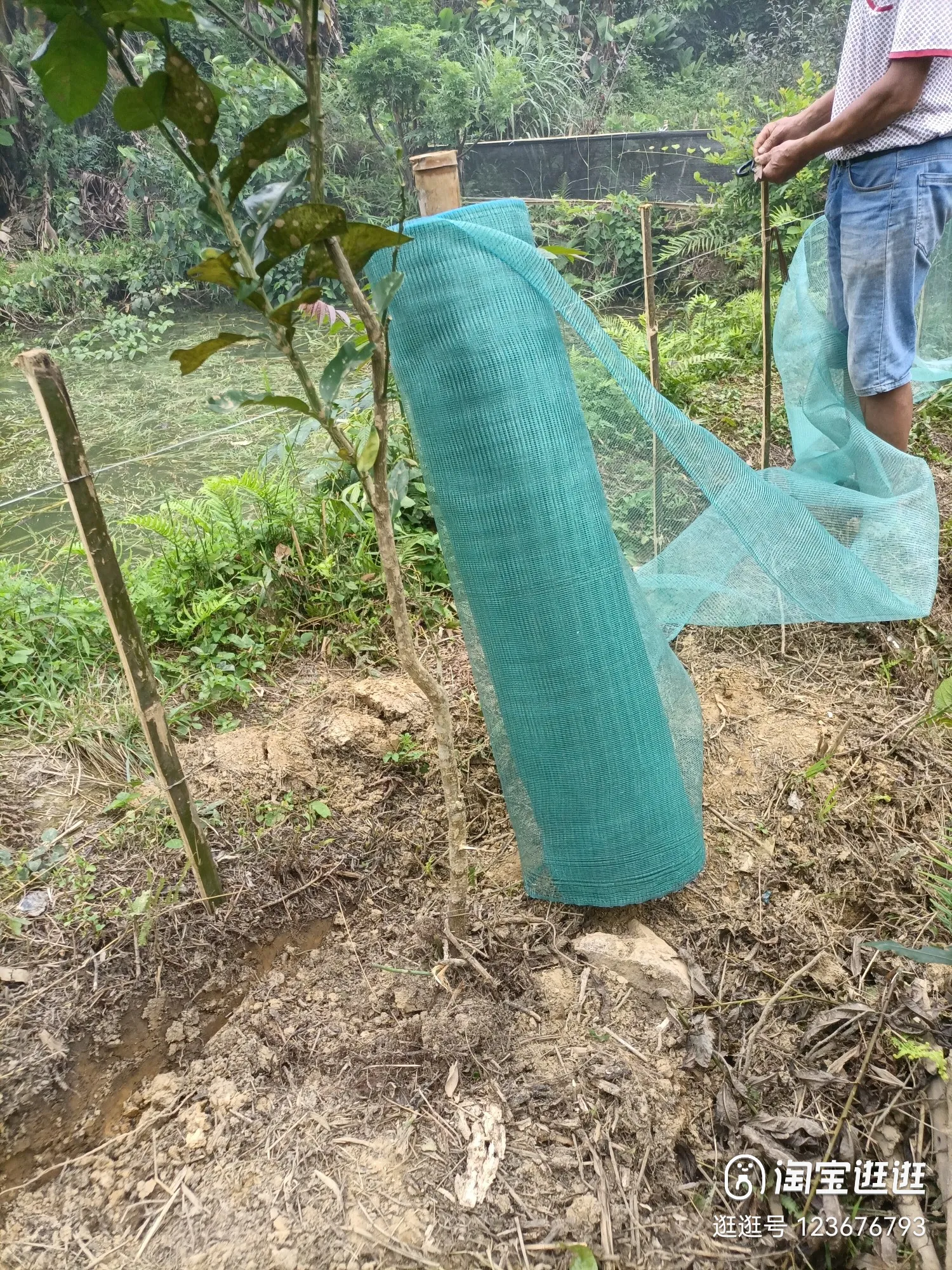 mạng sương mù