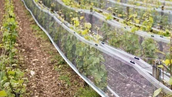 net plastic