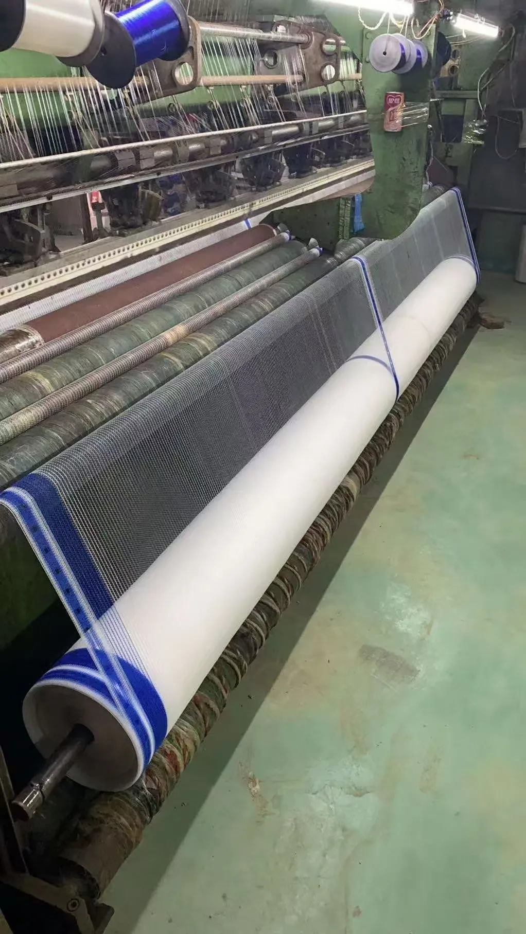 insect catching net