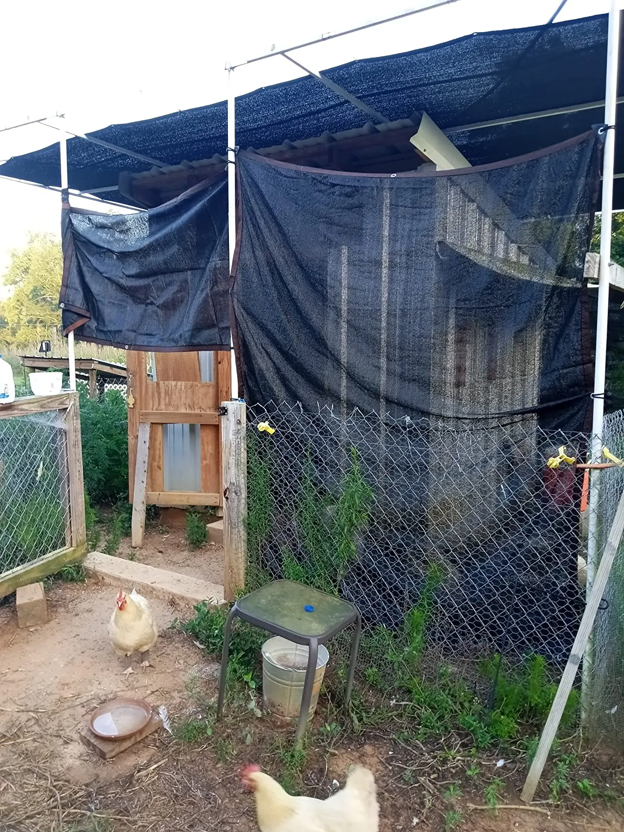 bird netting