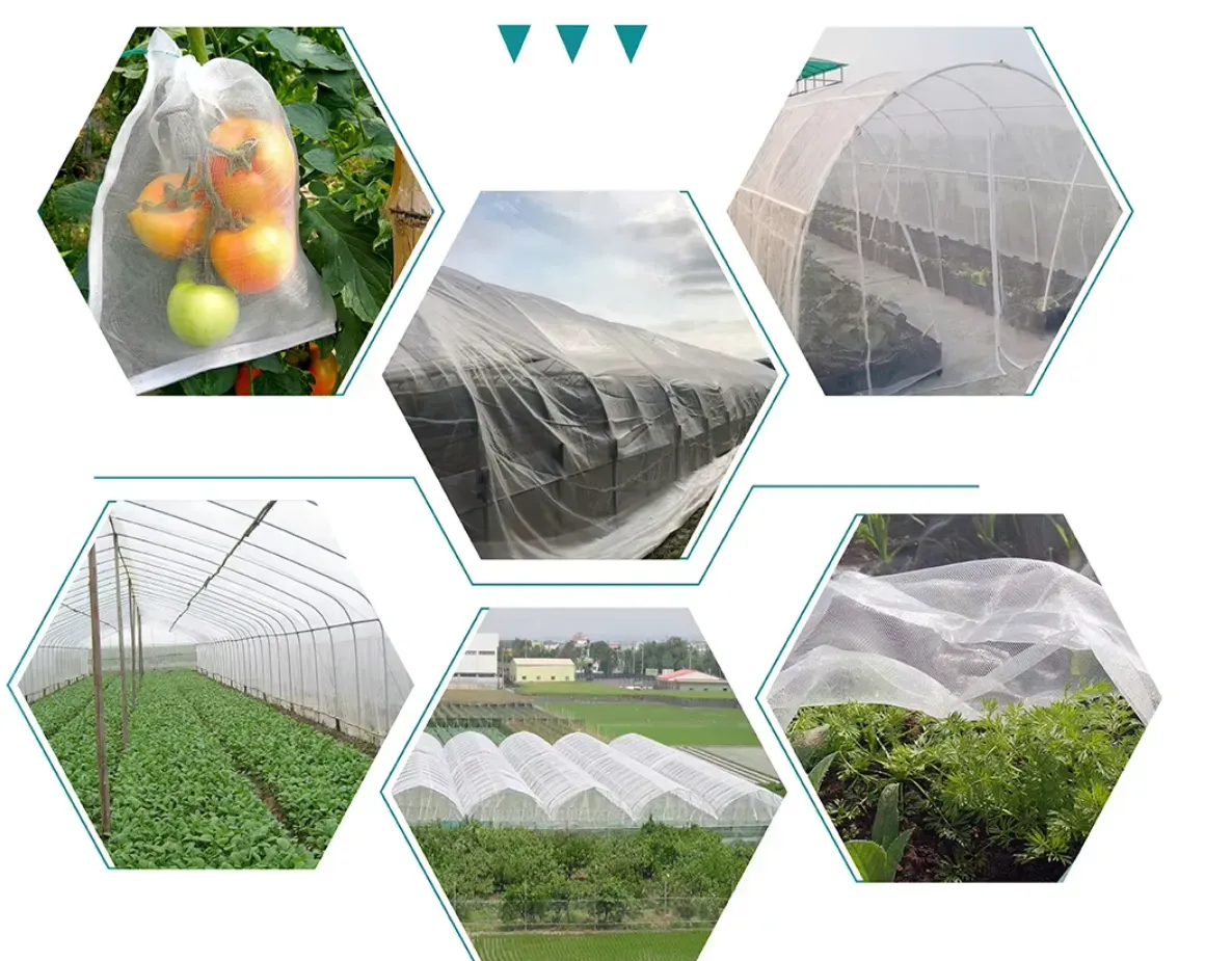 anti bird net for agriculture