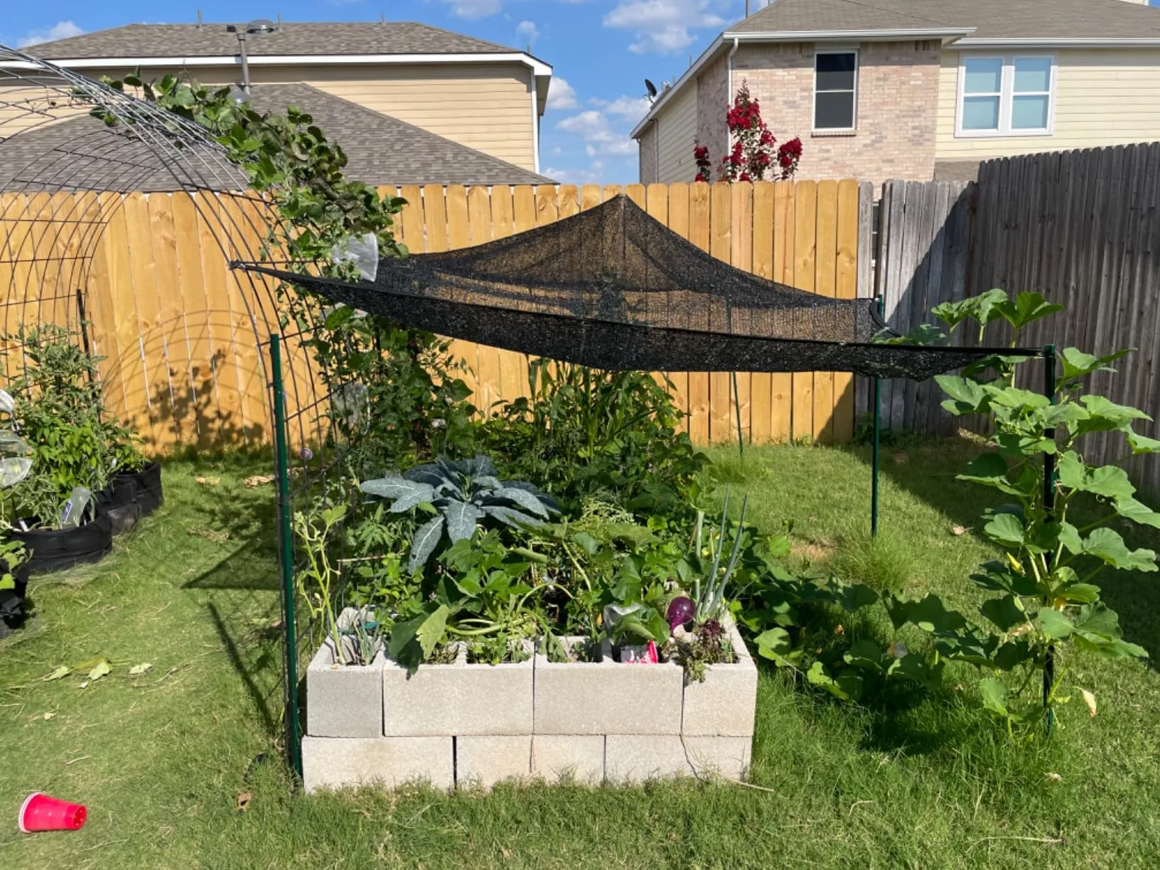 net for insects