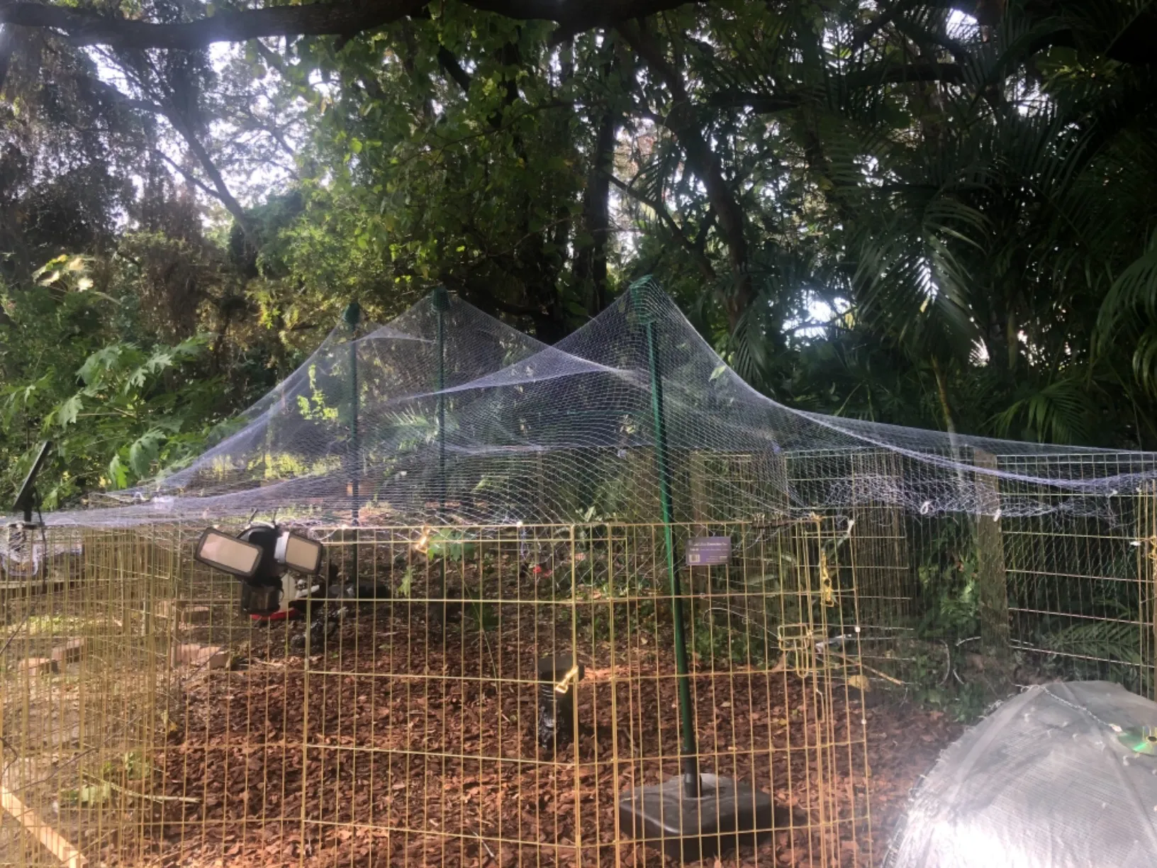 big bug netting