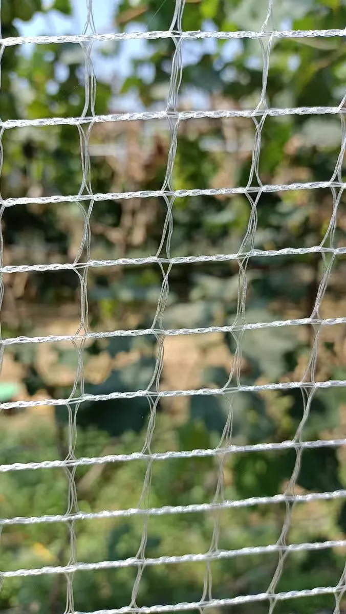 insect proof net