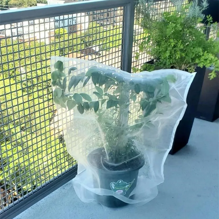 balcony netting
