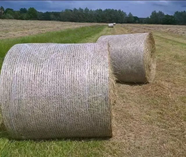 plastic netting mesh