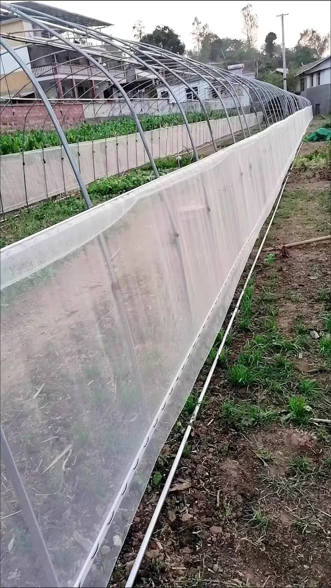 bug net for food