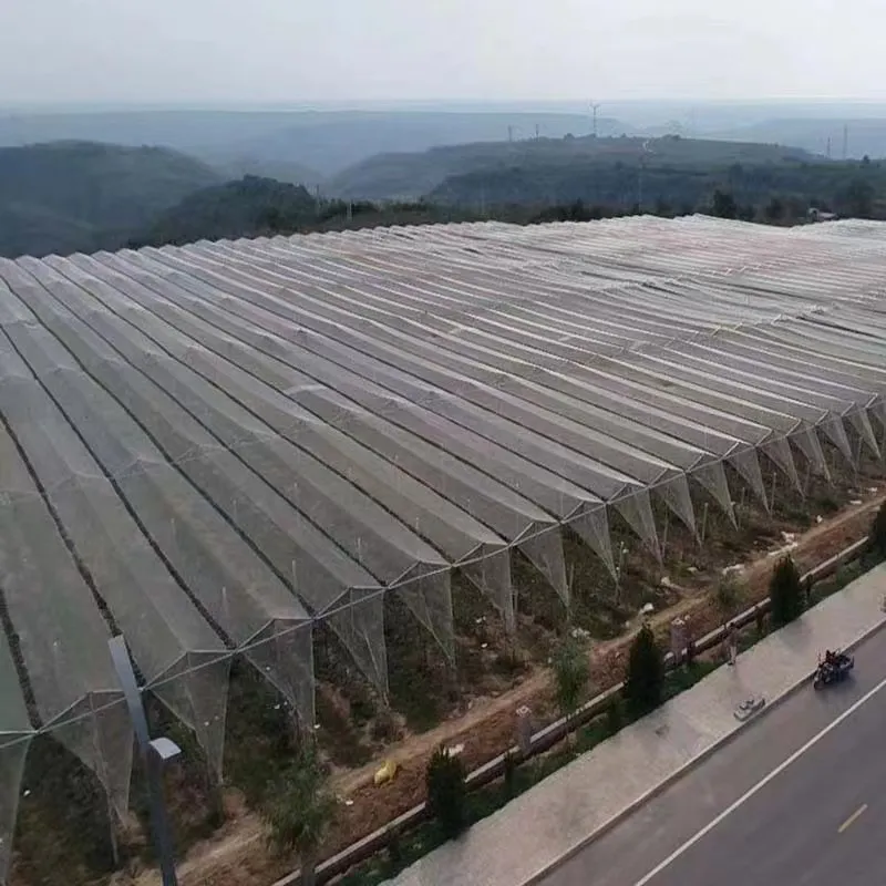 Sunshade Net for Agriculture Farming Shade Cloth