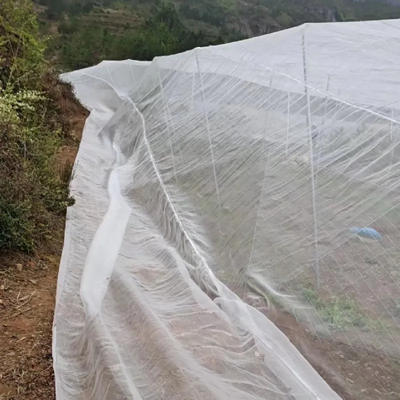 plastic net mesh