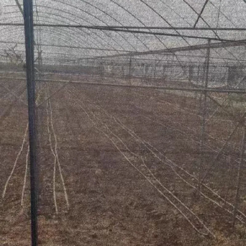fine insect proof mesh