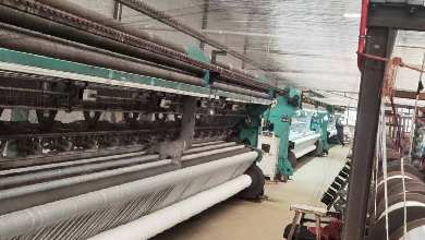Read More About bird net