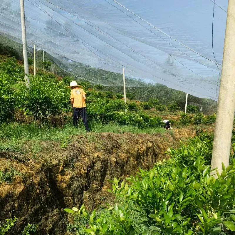 High-Quality Insect Mesh Cage for Effective Pest Control &#038; Breeding