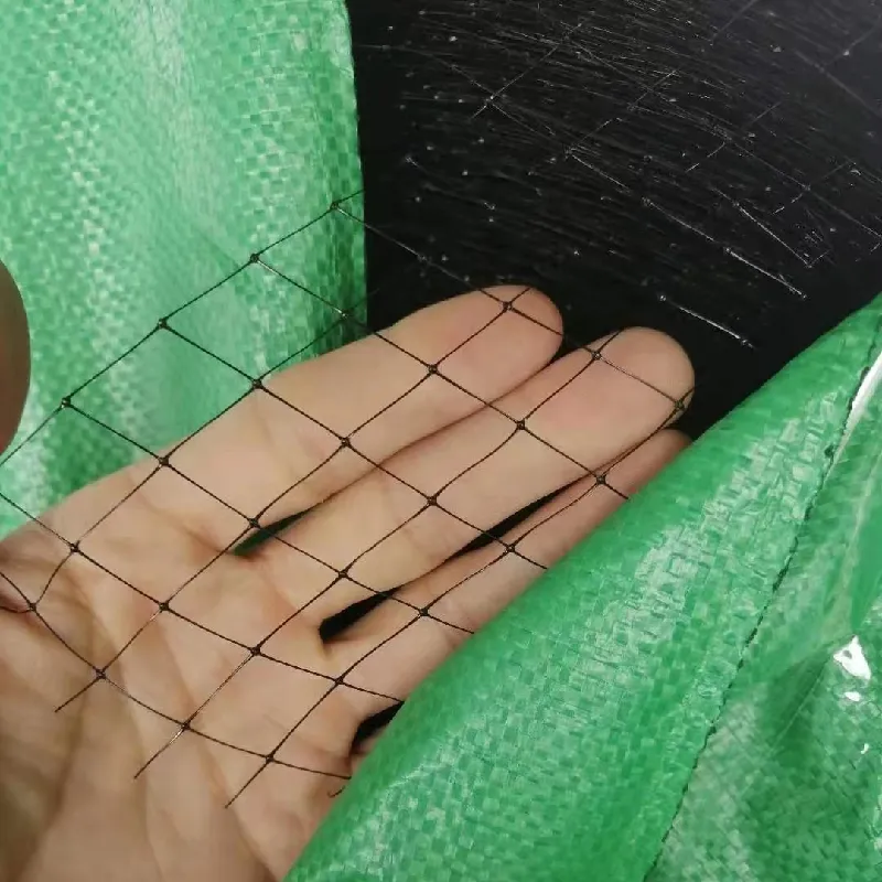 bed bug net
