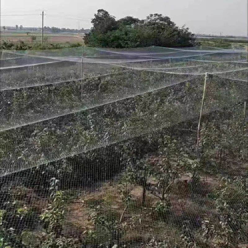 plastic net mesh