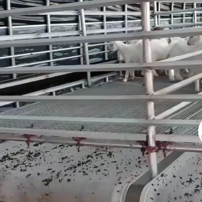 construction mesh netting
