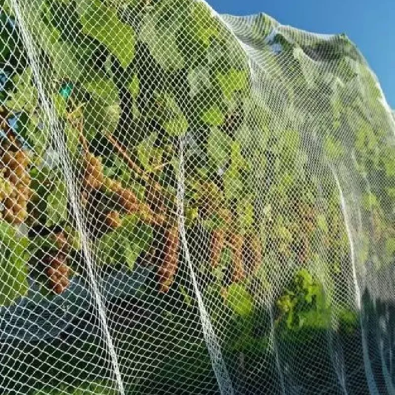 wire mesh for construction